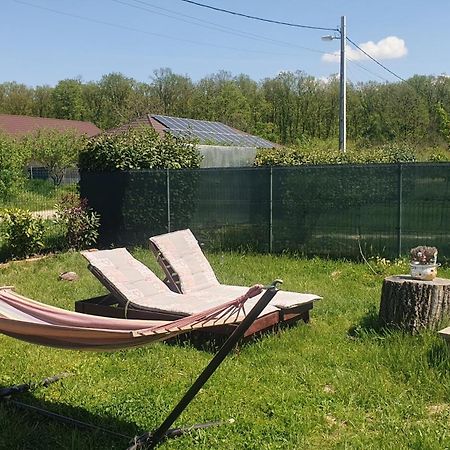 Forest Relax Near Oradea -Pet Friendly Les Extérieur photo